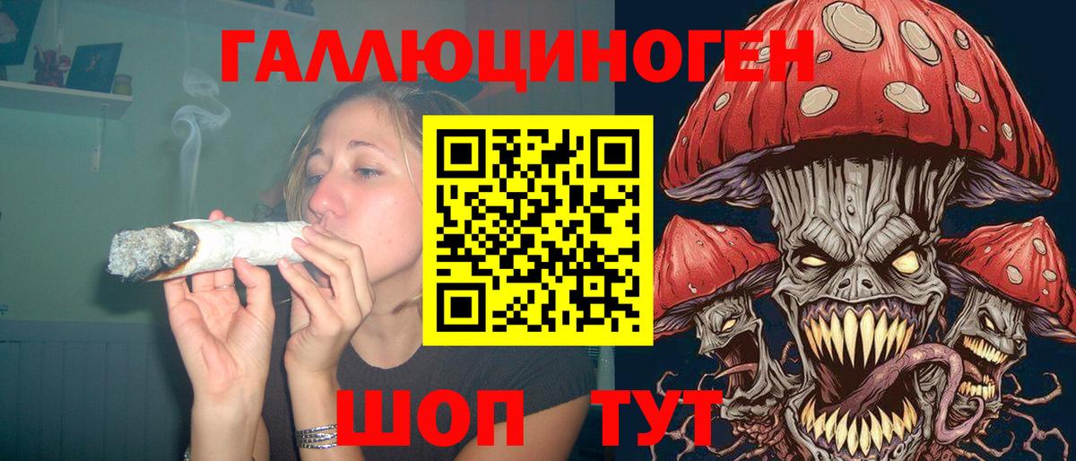 Псилоцибиновые грибы GOLDEN TEACHER Армавир